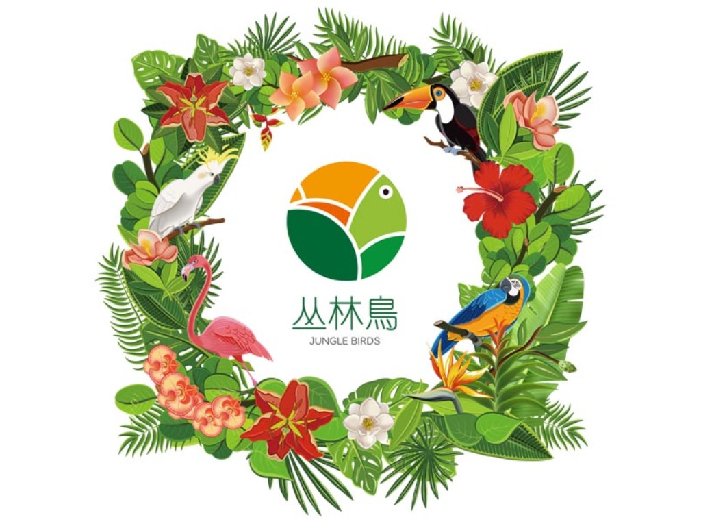 Jungle Birds Kindergarten Indentity